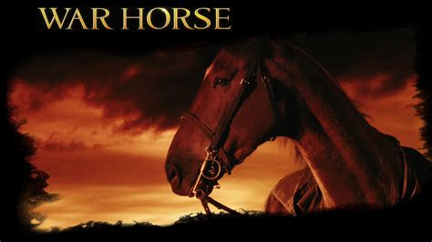 war horse war horse   wallpaper  fanpop