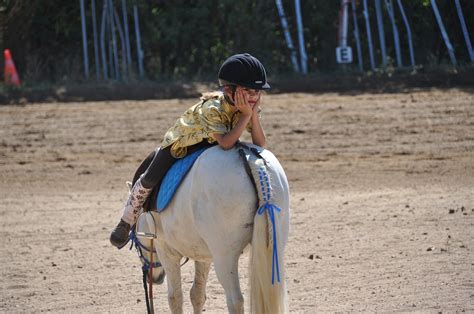 paardrijden op de manege  paardenrijschool paardnet