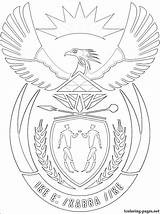 Arms South Coat Africa Coloring Pages Drawing Flag Symbols Symbol Getdrawings Trisha Govender School Logo sketch template