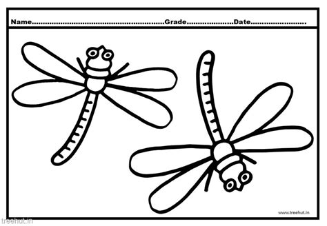cute dragonfly coloring pages