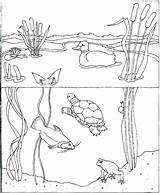 Water Coloring Pages Pollution Park Kids Conservation Drawing Getcolorings Getdrawings Printable Color sketch template