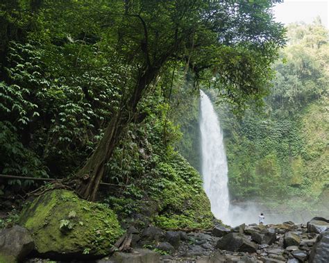 amazing view  waterfall  tropical rainforest  stock photo