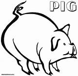 Pig Coloring Pages Fat Print sketch template