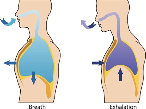 paradoxical breathing symptoms