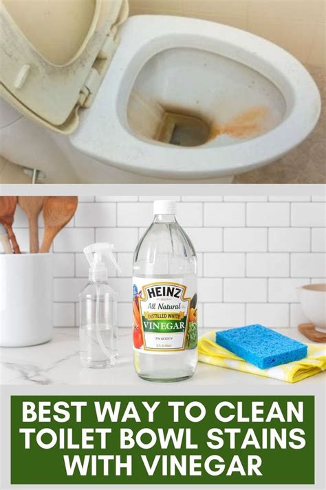 clean toilet bowl stains  vinegar   clean