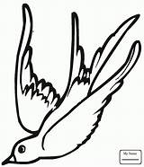 Swallow Barn Drawing Getdrawings Coloring Kids Birds sketch template