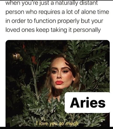 50 Best Aries Memes That Describe This Zodiac Sign In 2021 Aries
