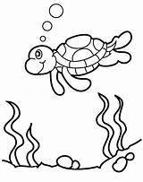 Turtle Coloring Sea Pages Printable Kids Turtles Cute sketch template