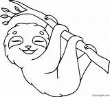Sloth Coloring Pages Tree sketch template