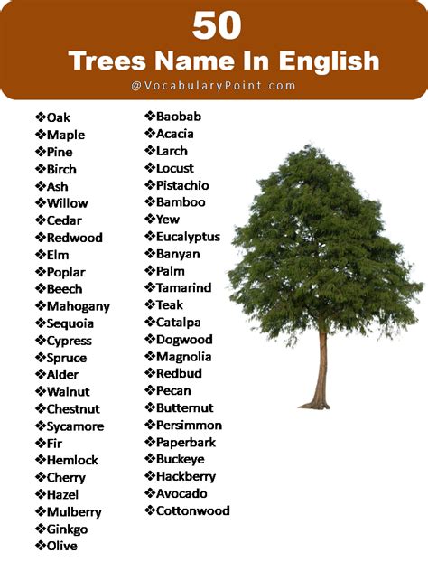 list  tree names vocabulary point