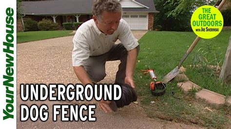 underground dog fence     check  petsafes pro install option