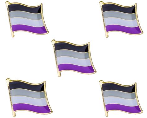 asexual flag lapel pin 3 4 x 5 8 16mm x 9 5mm etsy