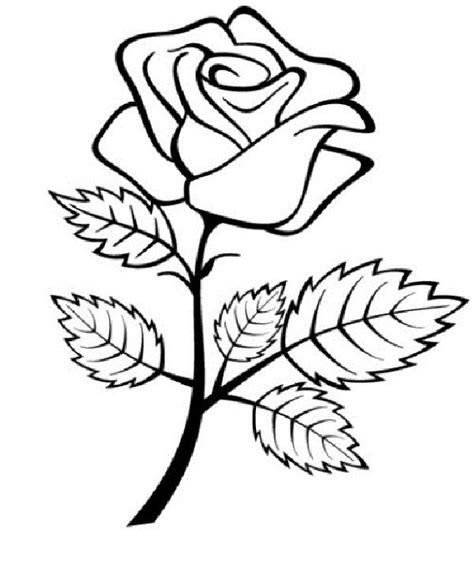 red rose coloring pages rose coloring pages flower coloring pages