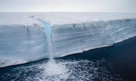 earth  lost  trillion tonnes  ice     years