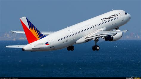 short guy philippine airlines  shining