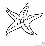 Marini Disegnidacolorareonline Pesci Disegnare Ritagliare Animali Starfish Costumi Adulti Semplici Pesce sketch template