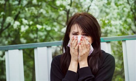 how to look for the common allergy triggers read more