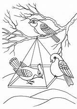 Coloring Feeder Pages Birds Colorkid Kids Winter Big Print sketch template