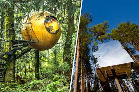 Best Treehouse Hotels Around The World Daily Star