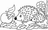 Ausmalen Igel Riccio Ausmalbild Hedgehog Herbstbilder Arici Hedgehogs Colorat Herbstmotive Automne Coloriages Sagome Plansa Porcospino Hérissons Malvorlage Scaricare Siili Animali sketch template