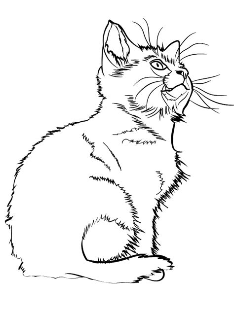 meowing kitten coloring page  printable coloring pages  kids
