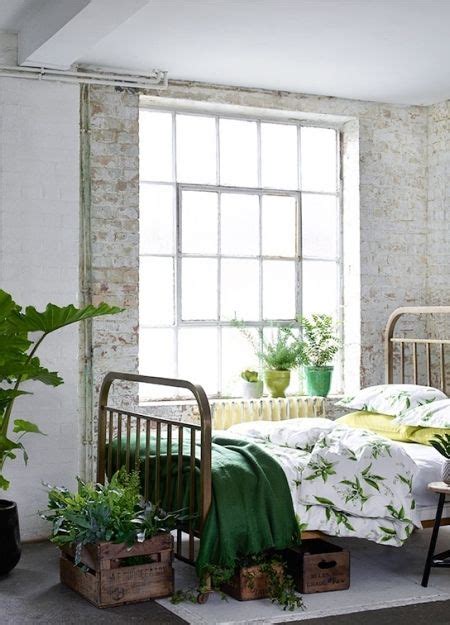 bring the botanical look into your home tropical