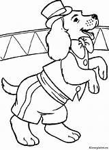 Honden Dieren Hond Hunde Zirkus Ausmalbilder Colorare Circo Fun Chiens Colorat Ausmalbild Malvorlage Mewarnai Caini Planse Hund Kleuren Coloriages Circ sketch template