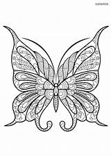 Coloring Farfalle Disegni Mariposas Mandalas Papillon Colorare Schmetterling Mariposa Zentangle Desene Disegnare Jolis Motifs Insecte Geeksvgs Rainbowprintables Malvorlage Fluturi Supercoloring sketch template