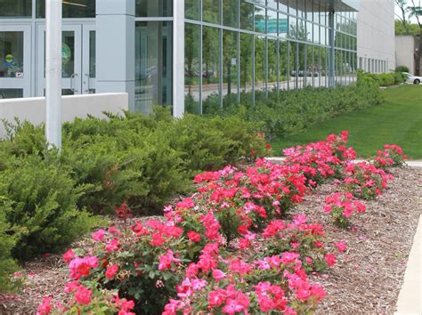commercial landscaping outdoor property services