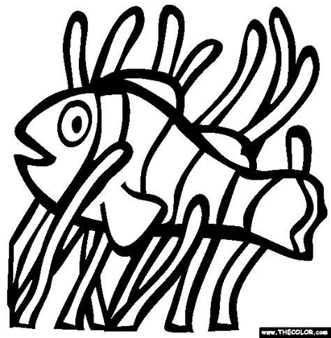 clown fish fish coloring page coloring pages  coloring pages