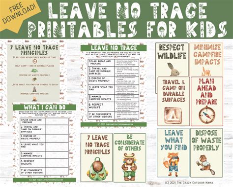 leave  trace principles printable  worksheet  kids