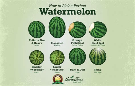 watermelon good