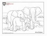 Coloring Animal Pages Themed Check Earth sketch template
