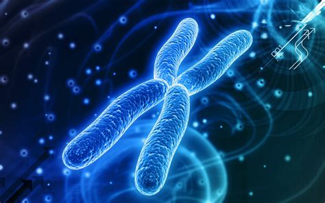 Las 12 Partes De Los Cromosomas Características Y Funciones