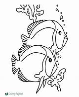 Fish Coloring Pages Tropical Book Color Simple Kids Sheets Printable Drawing Colouring Objects Tattoo Drawings Books Clipart Print Patterns Below sketch template