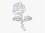 Rose Drawing Easy Draw Roses Thorns Kindpng sketch template
