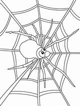Spider Bestcoloringpages Insect Homecolor sketch template
