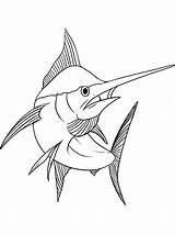 Marlin Coloring Swordfish Pages Getdrawings Printable Color Getcolorings sketch template