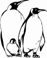 Penguin Coloring Pages Emperor Cartoon Printable Baby Kids Penguins Clipart Family Colouring Happy Feet Color Cliparts Getcolorings Library Print Father sketch template
