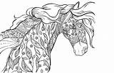 Horses Animal sketch template