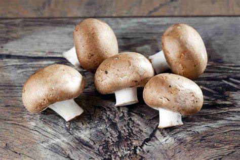 types  mushrooms guide  buying  storing