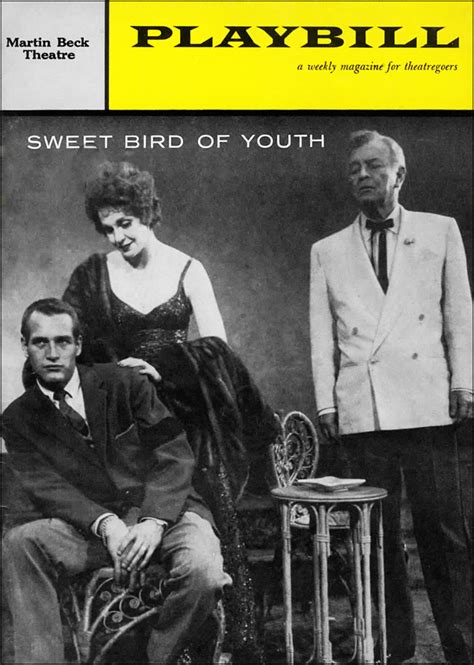 Sweet Bird Of Youth Broadway Harkness Theatre 1975 Playbill
