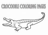 Crocodile Krokodil Crocodiles Bestcoloringpagesforkids Alligator Croc Coloringhome sketch template