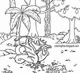 Forest Coloring Enchanted Pages Drawing Book Mystical Color Kids Magical Creatures Template Drawings Printable Wonderful Getdrawings Garden Fantasy Getcolorings sketch template