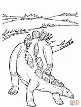 Jurassic Saurier Dinosaur Wuerhosaurus Styracosaurus Malvorlage sketch template