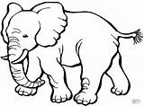 Ausmalbilder Elephants sketch template