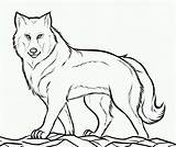 Wolf Coloring Gray Pages Grey Printable Color Getcolorings Mexican Print sketch template