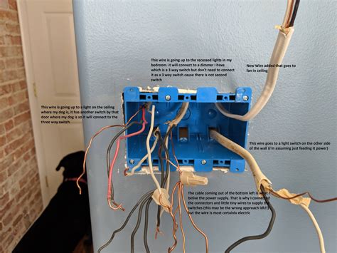 wiring   gang light switch   wire    light switch diy family handyman  light