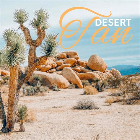 desert tan mobile lightroom preset filtergrade