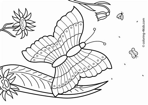 dltk coloring pages  summer coloring pages ideas